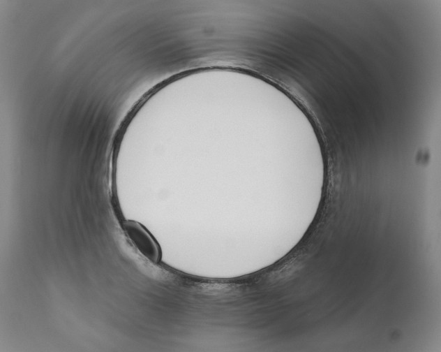 X0000110741132200907131115