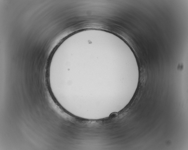 X0000110741139200907131115