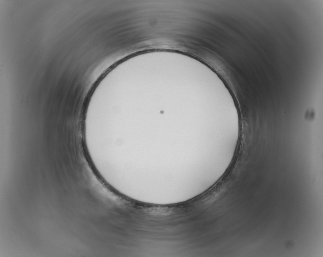 X0000110741141200907131115