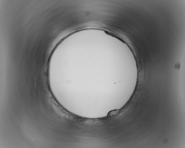 X0000110741146200907131115