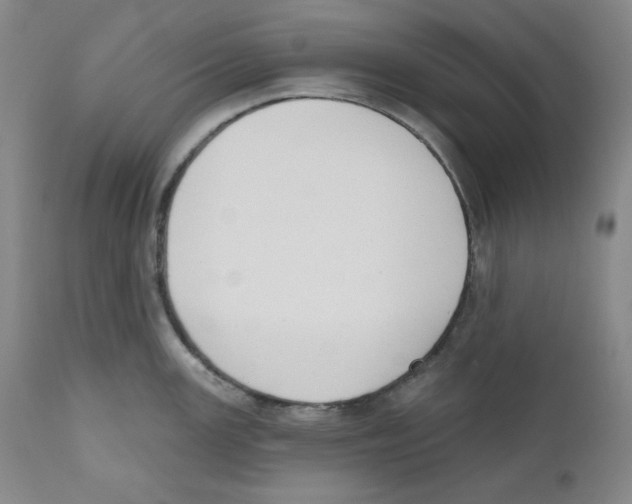 X0000110741147200907131115