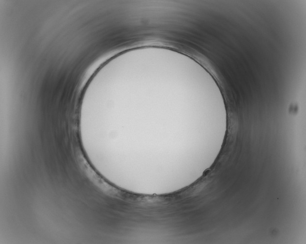 X0000110741148200907131115