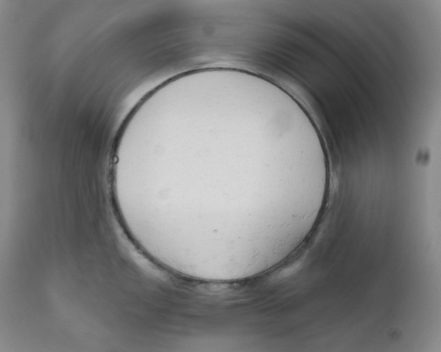 X0000110741149200907131115