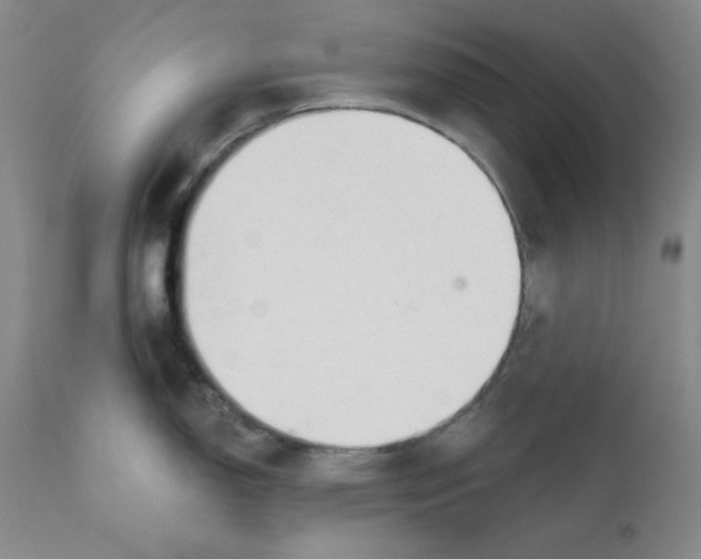 X0000110741150200907131115