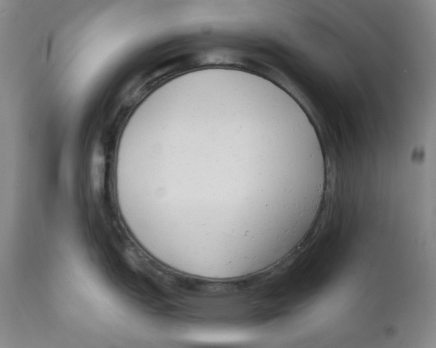 X0000110741151200907131115