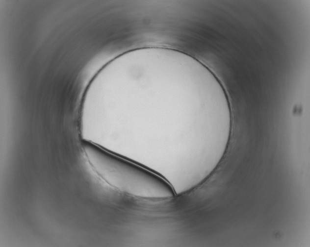 X0000110741152200907131115