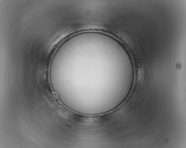 X0000110741165200907131114