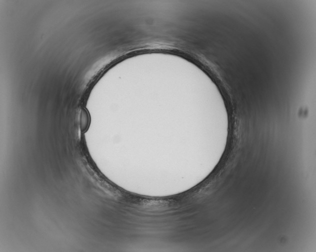X0000110741171200907131114