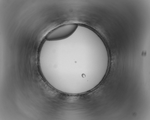 X0000110741173200907131114