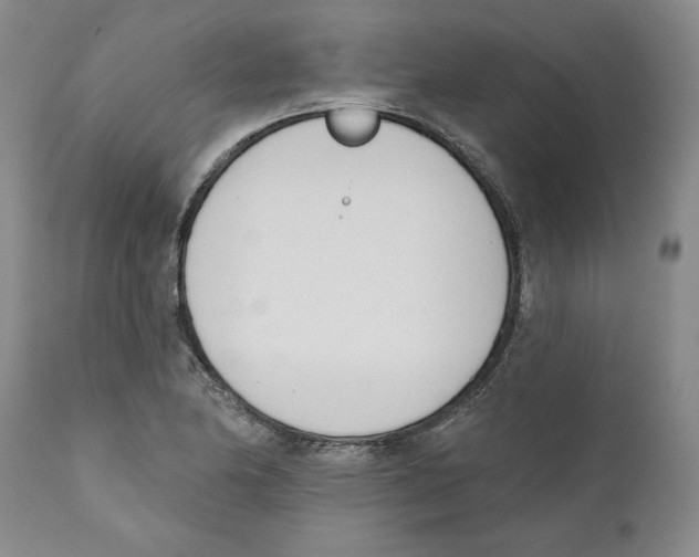 X0000110741174200907131114
