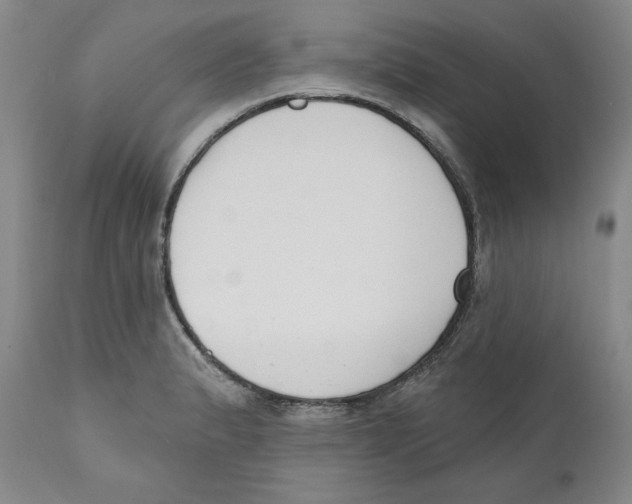 X0000110741183200907131114