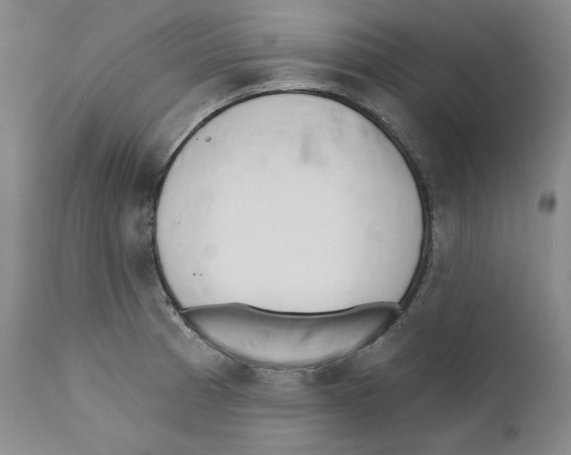 X0000110741185200907131114