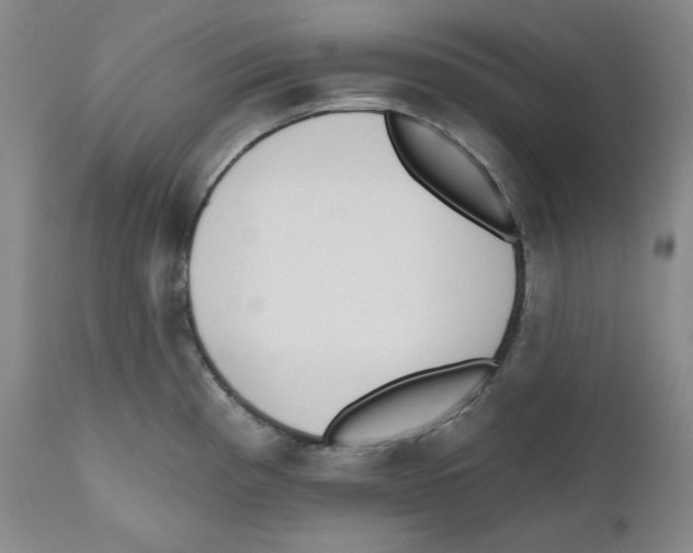 X0000110741193200907131113