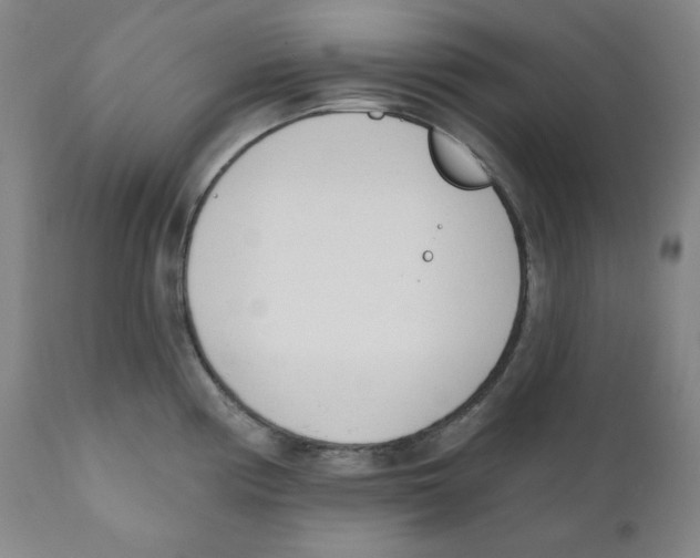 X0000110741194200907131113