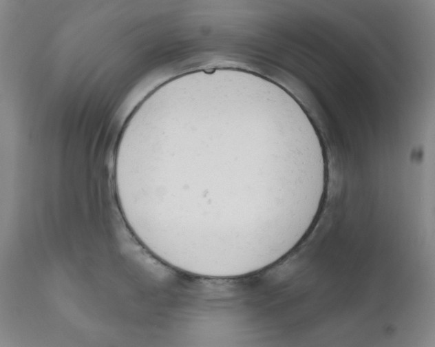 X0000110741198200907131113