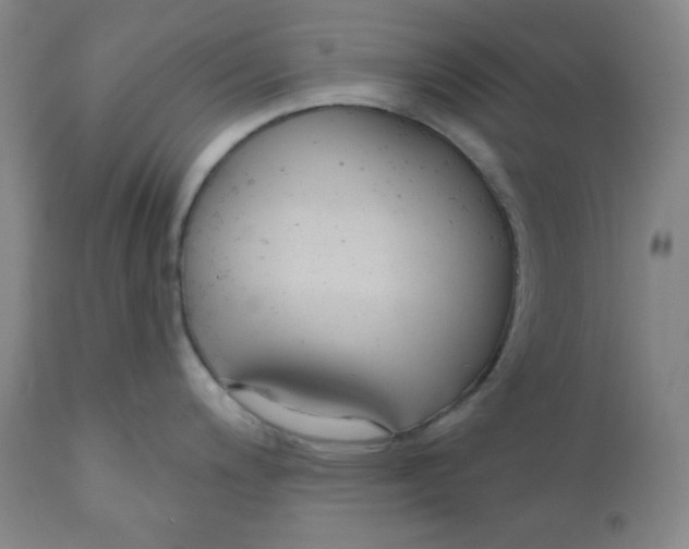 X0000110741200200907131113