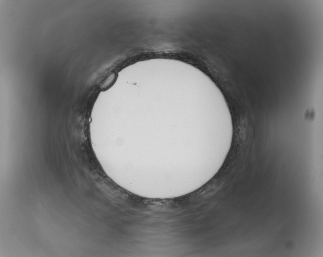 X0000110741205200907131113
