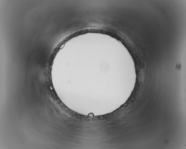X0000110741208200907131113