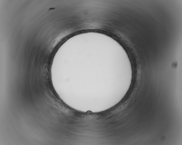 X0000110741210200907131113