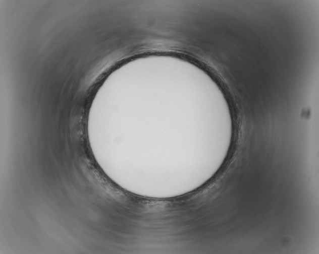 X0000110741211200907131113