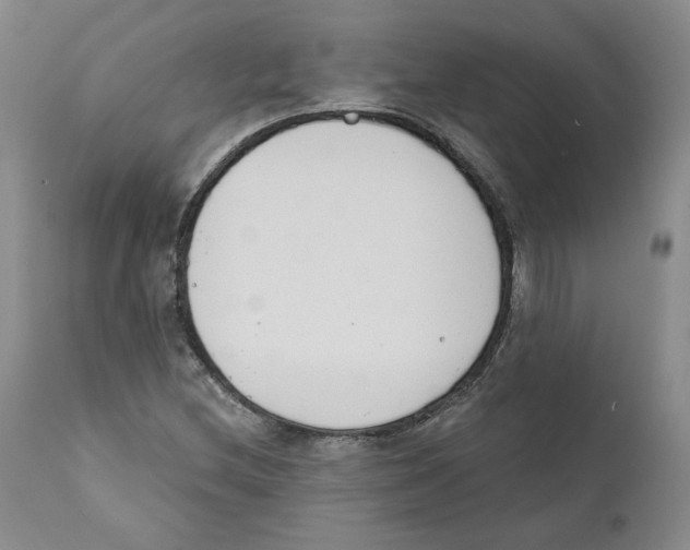 X0000110741212200907131113