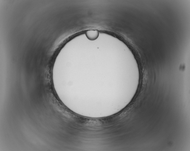 X0000110741215200907131113