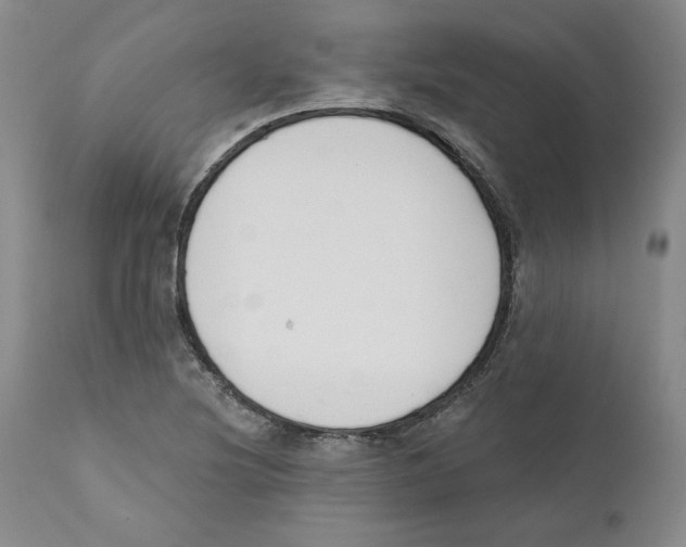 X0000110741220200907131113