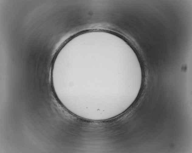 X0000110741224200907131113