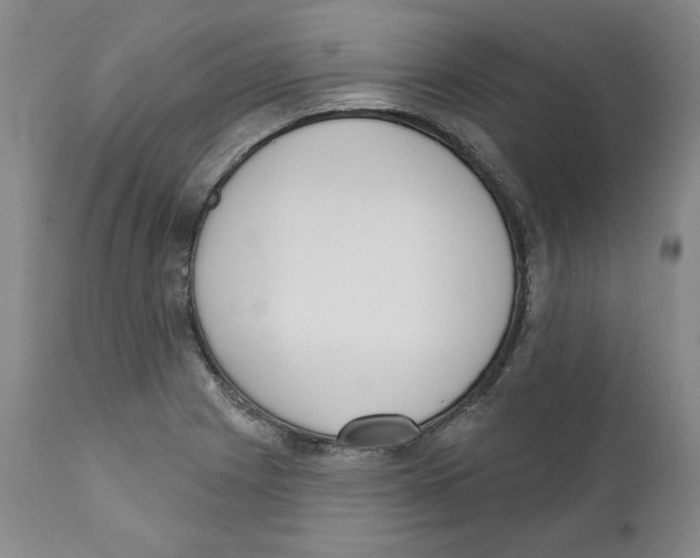 X0000110741225200907131113