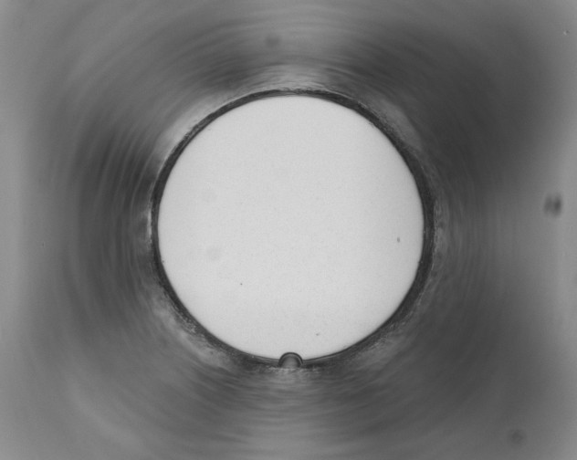 X0000110741226200907131113