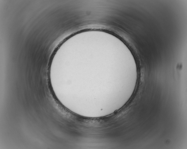 X0000110741229200907131113