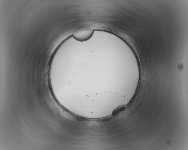 X0000110741235200907131113