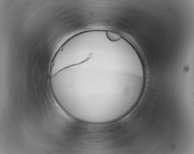 X0000110741236200907131113