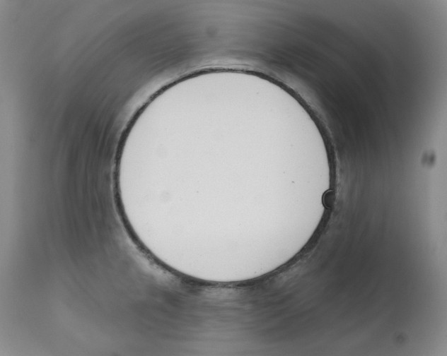X0000110741237200907131113