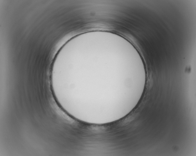 X0000110741243200907131113
