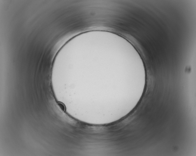 X0000110741244200907131113
