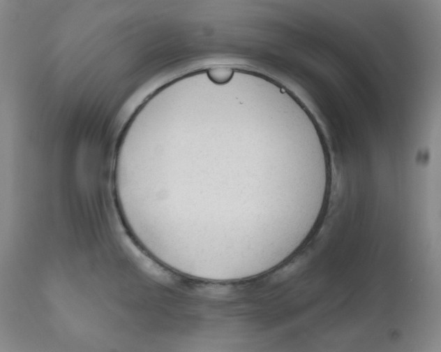 X0000110741245200907131113