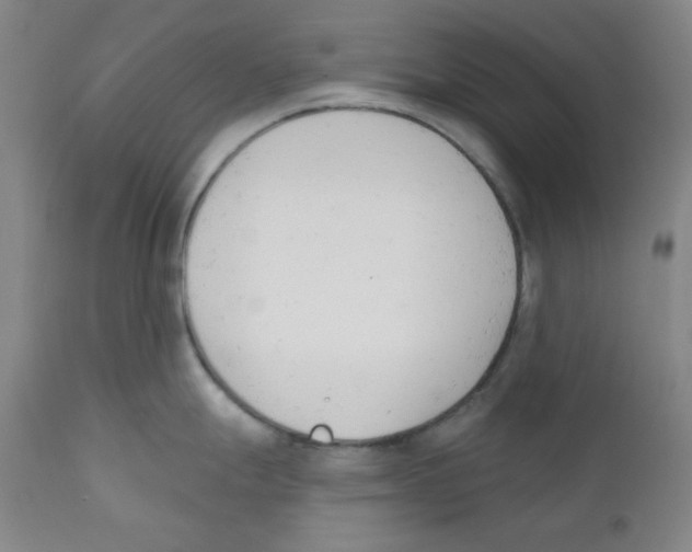 X0000110741247200907131113