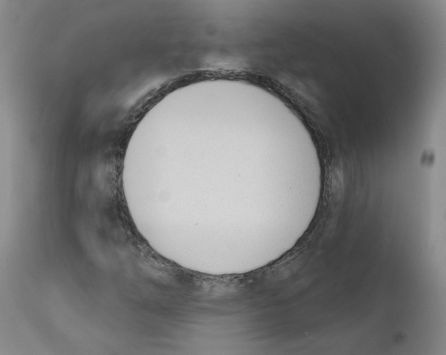 X0000110741254200907131112