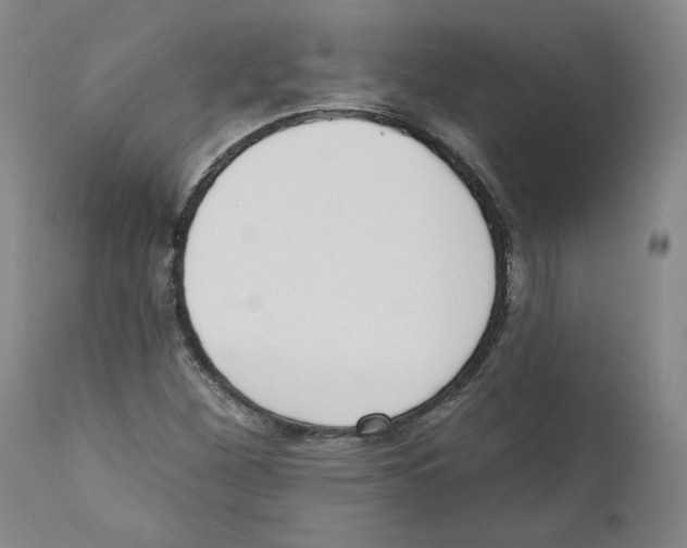 X0000110741260200907131112
