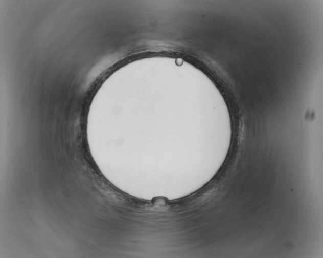 X0000110741261200907131112