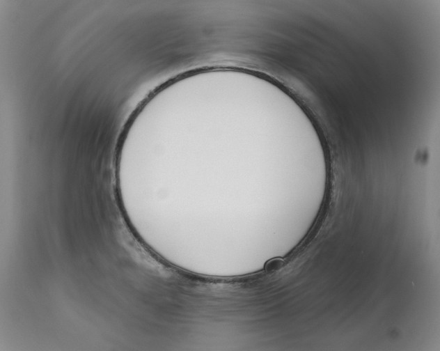 X0000110741280200907131112
