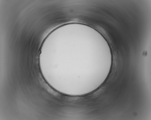 X0000110741292200907131112
