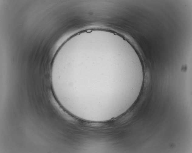 X0000110741295200907131112