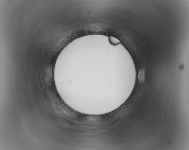 X0000110741299200907131111