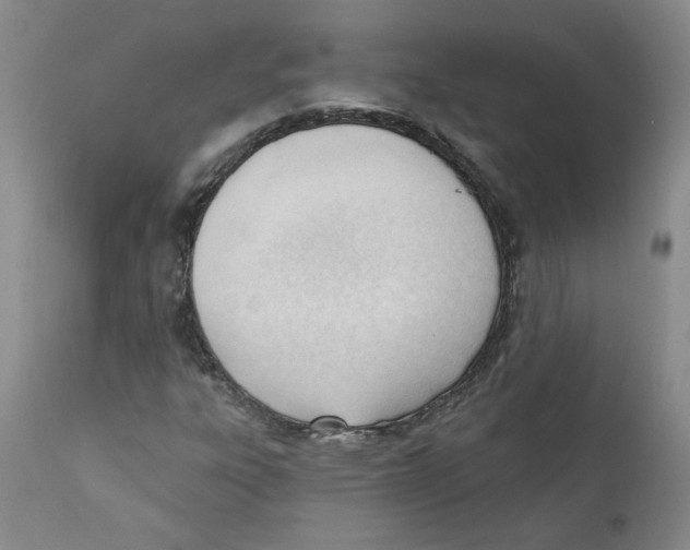 X0000110741303200907131111