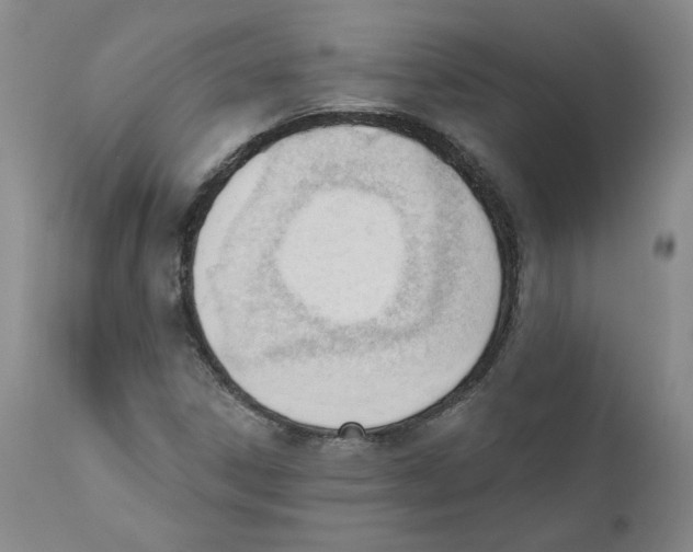 X0000110741306200907131111
