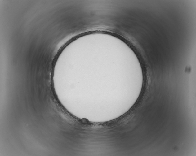 X0000110741316200907131111