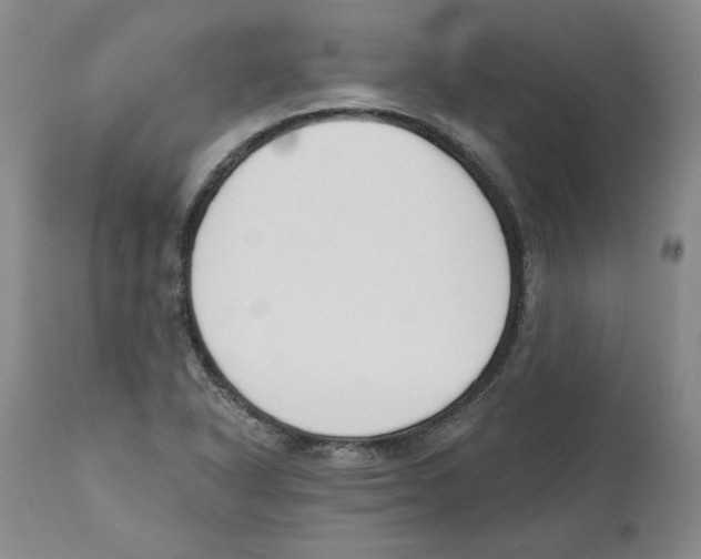 X0000110741318200907131111
