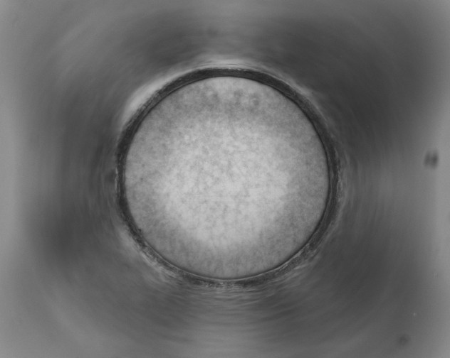 X0000110741319200907131111